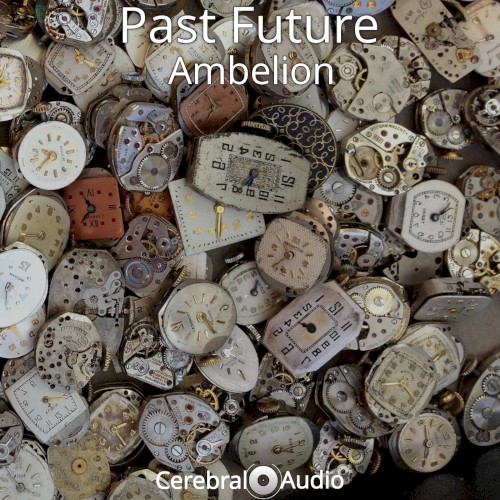 Past Future