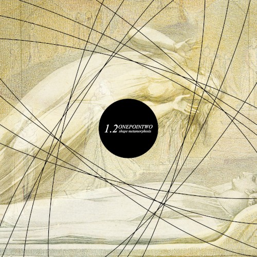 Shape Metamorphosis