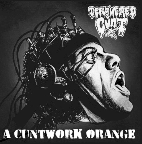 A Cuntwork Orange / Killer Bug