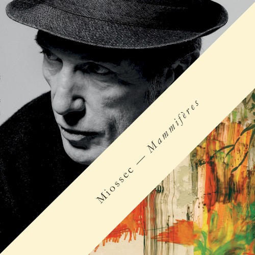 Mammifères