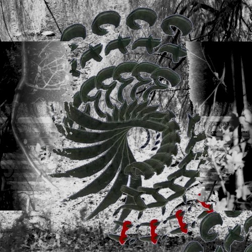 Serpents And Shallows
