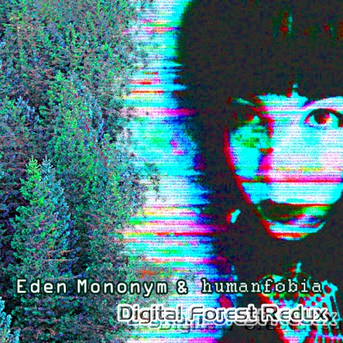Digital Forest Redux
