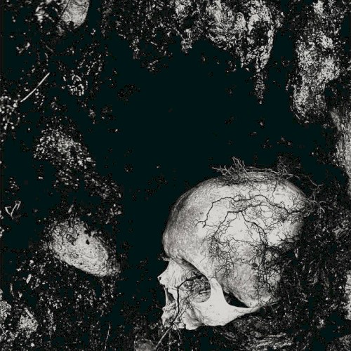 Decadence Of Ego