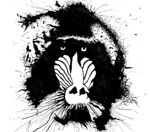 Feral Ωhms