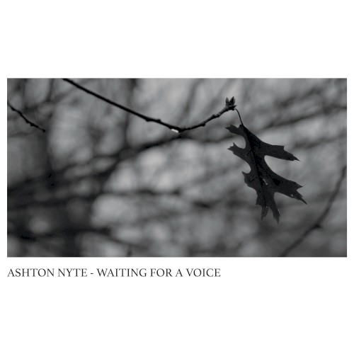 Waiting For A Voice