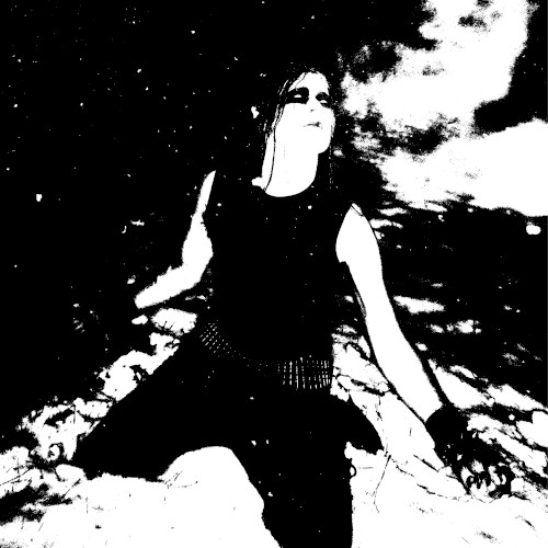 The Wanderer Of The Cold North