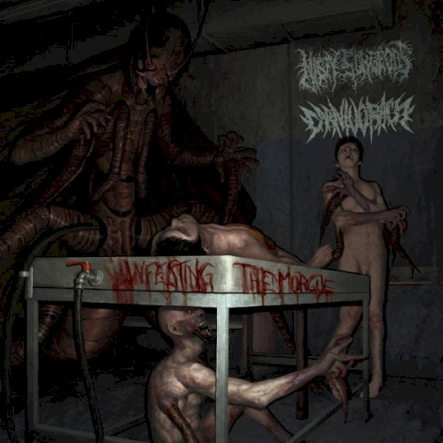 Infecting The Morgue