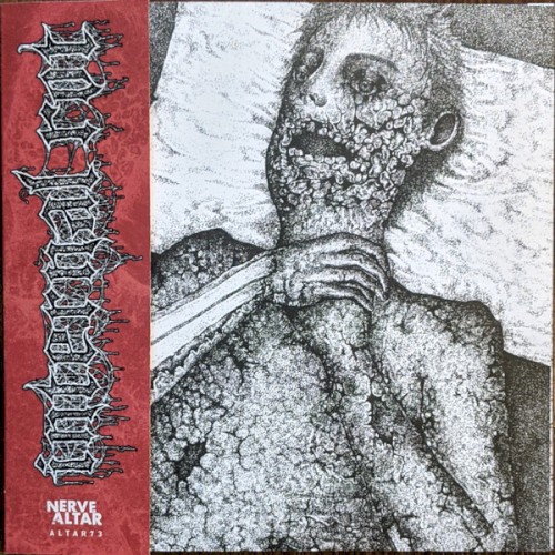 Internal Rot / Mutilated Cop