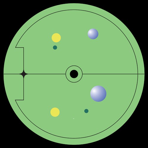 Flora And Fauna