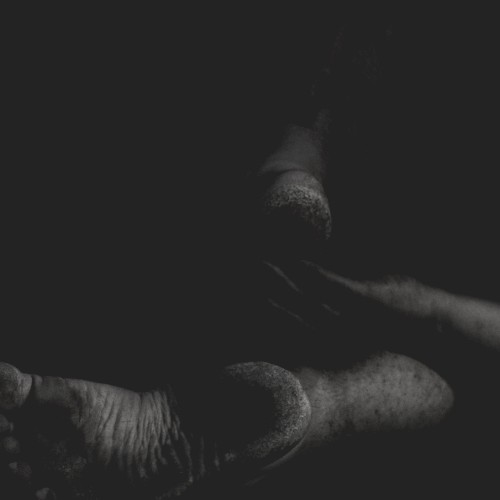 Their Holes Aroused By The Splinters Carved From Their Teeth