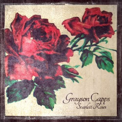 Scarlett Roses