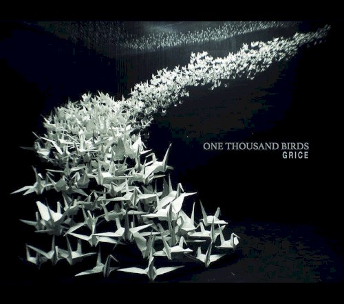 One Thousand Birds