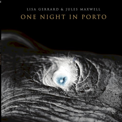 One Night In Porto