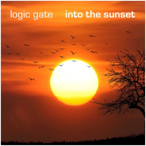 Into The Sunset
