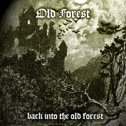 Back Into The Old Forest