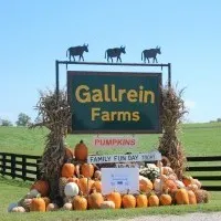 Above the Cadillac Studios