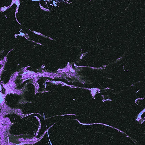 Akuma Tracks