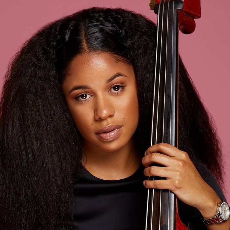 Aneesa Strings