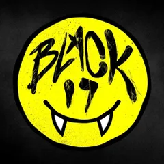 Black 17 Media