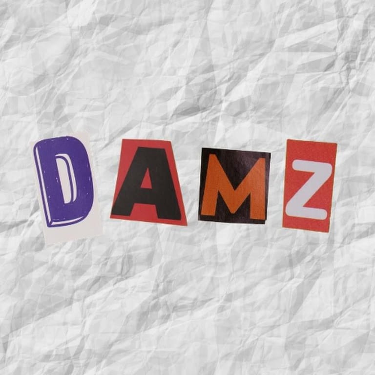 Damz The Producer