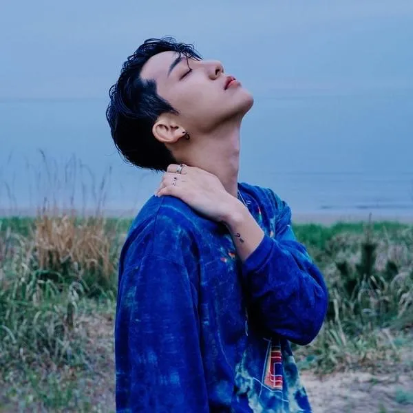 DAVII (다비)