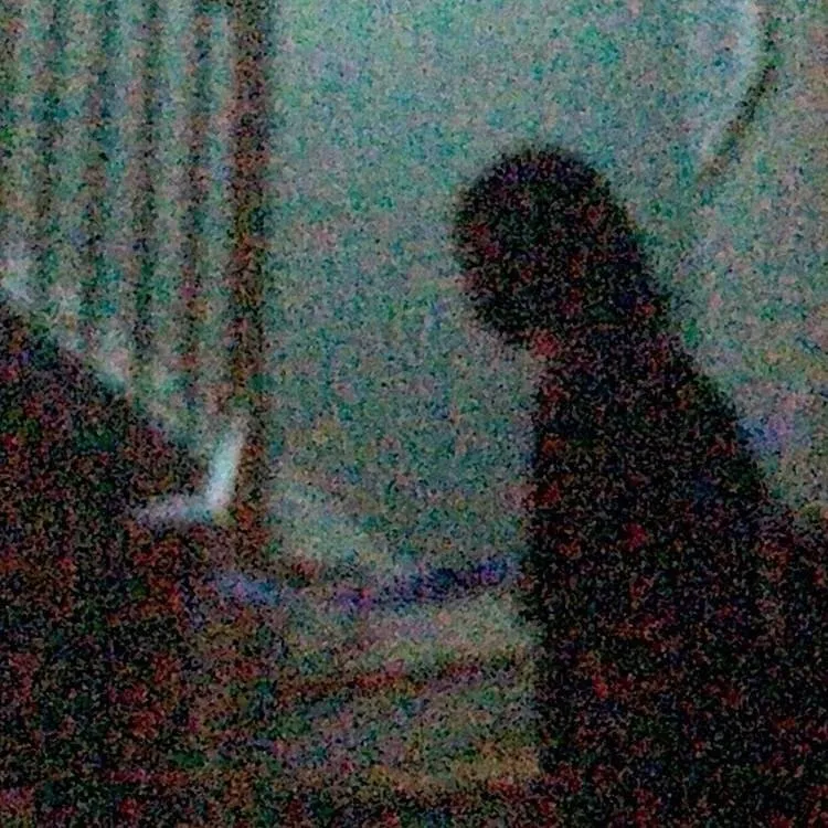 Dearly Somber