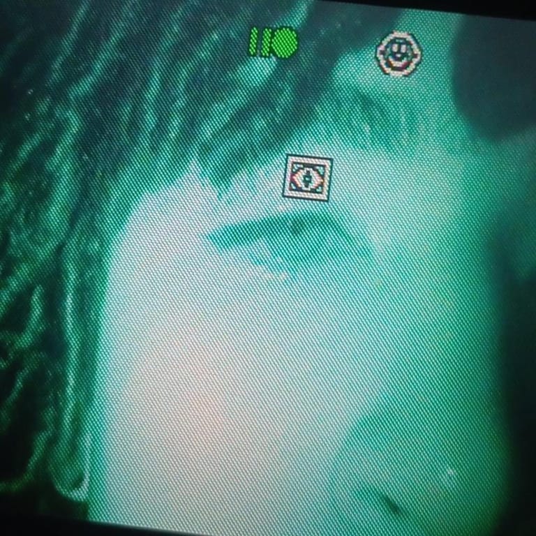Dreh