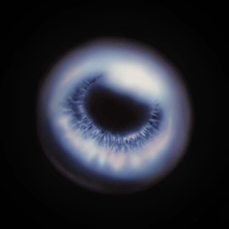 elvisionary