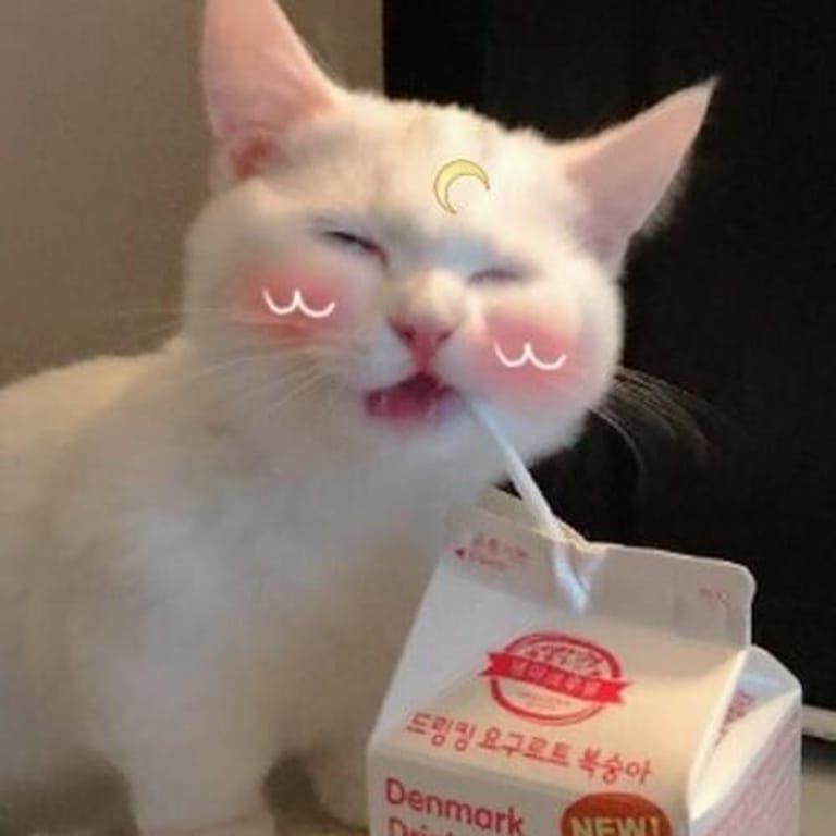 Frevel