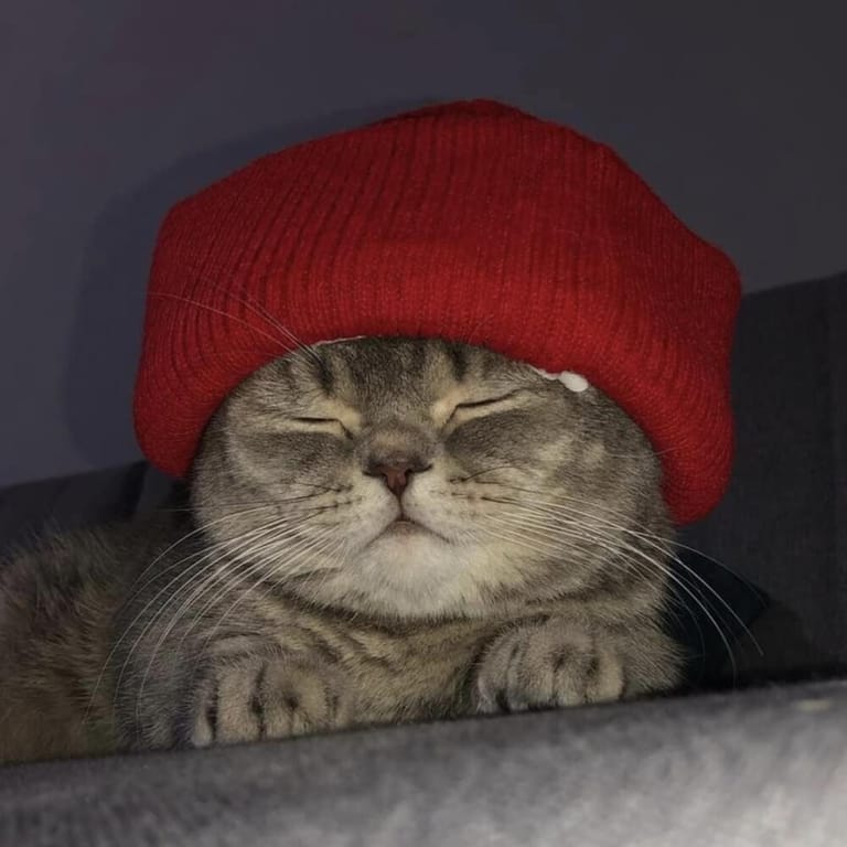 Frost’d (Producer)