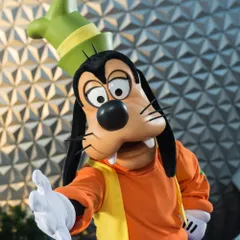 Goofy