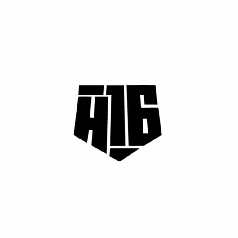 H16