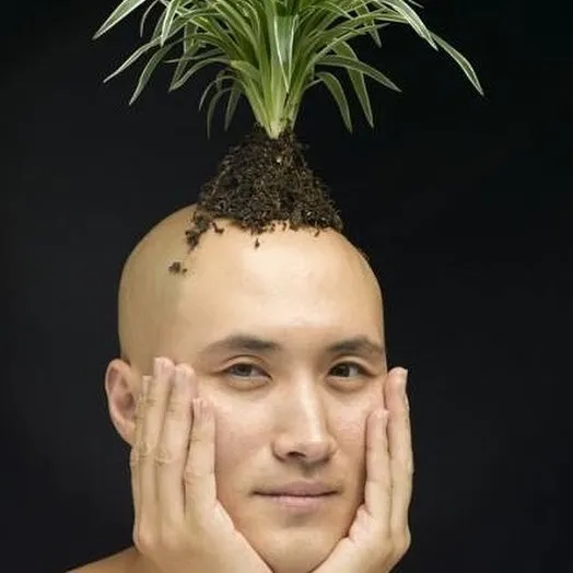 hongsamman