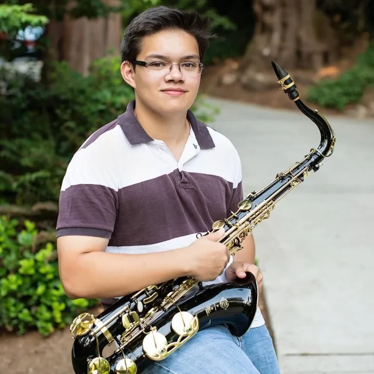 insaneintherainmusic