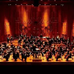国际首席爱乐乐团 (International Master Philharmonic Orchestra)