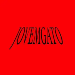 jovemgato