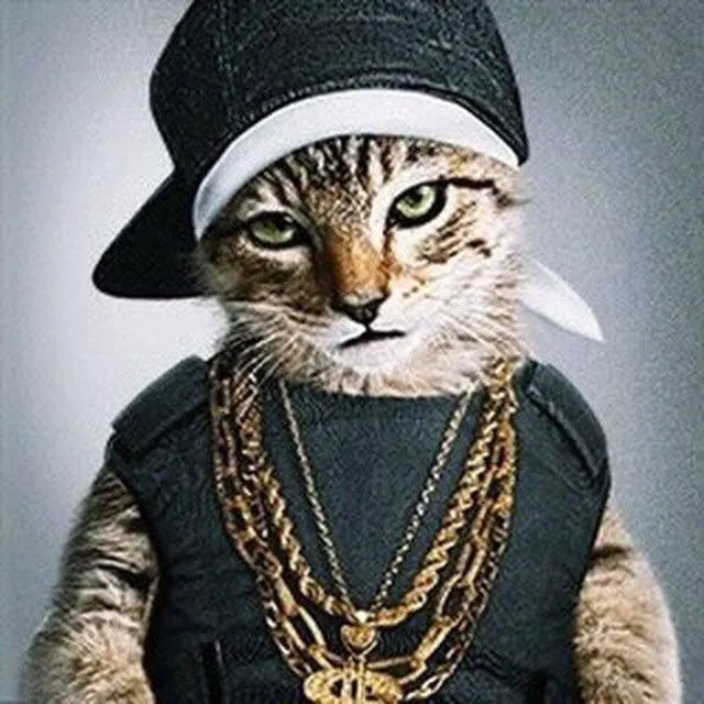 k4neswagga