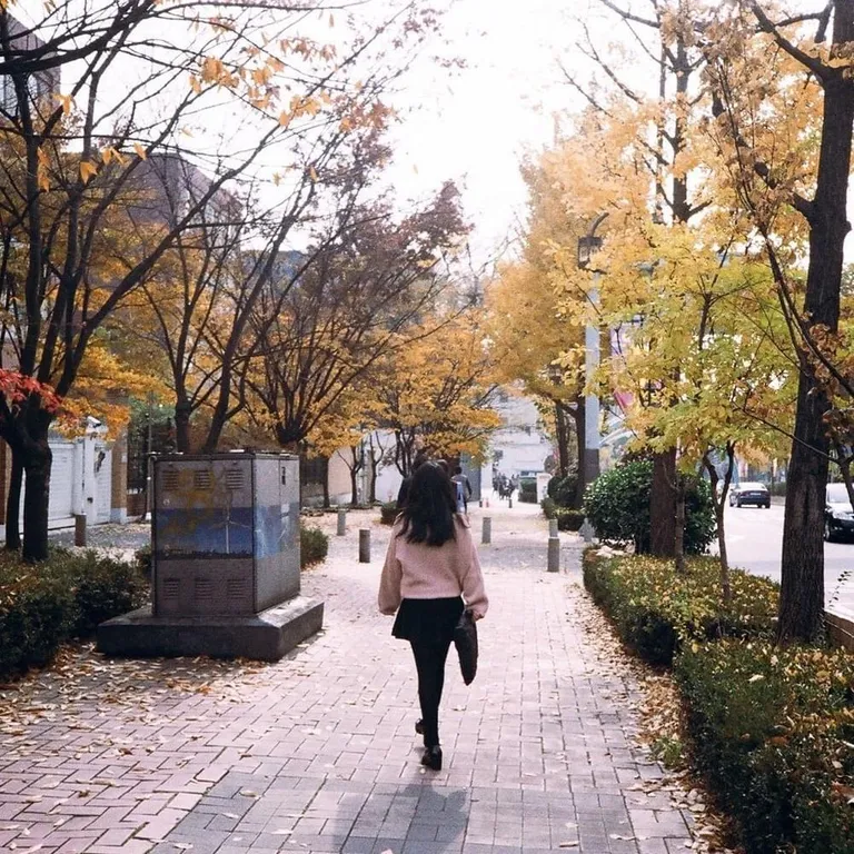 강은유 (Kang Eun U)