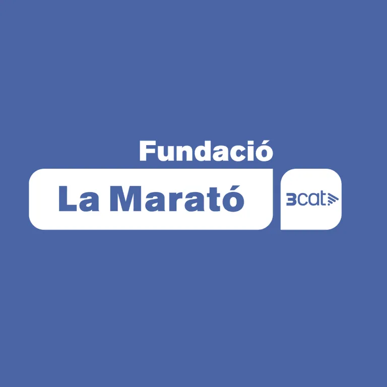La Marató de 3Cat
