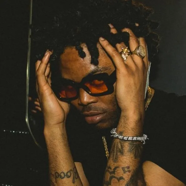 LEVELSANTANA