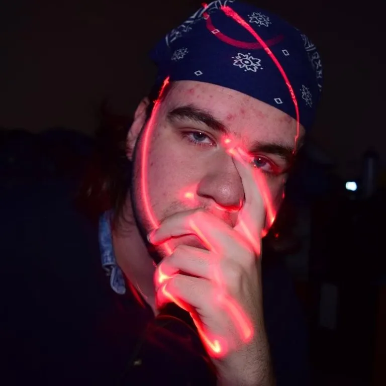 Lizard in the Spring