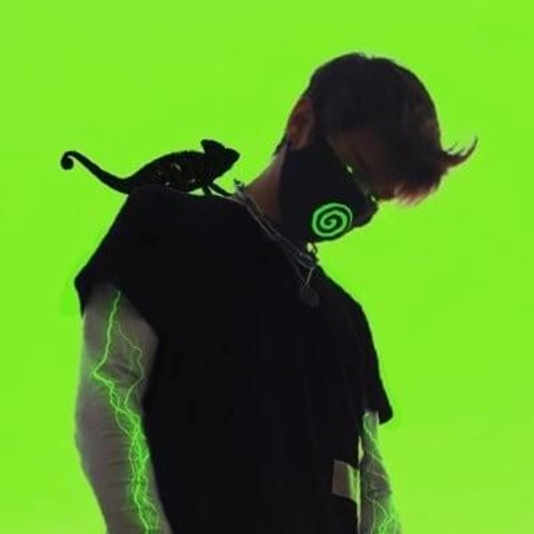LOST CHAMELEON