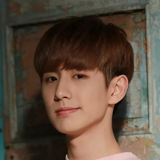 Minwoo (민우) (BOYFRIEND)
