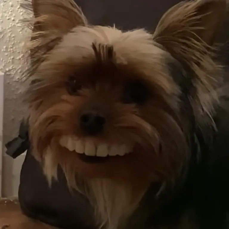 Month-old Flintstones Vitamins