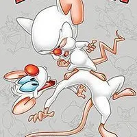 Pinky And The Brain