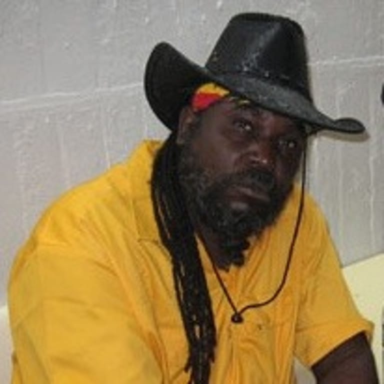 Reggie Stepper