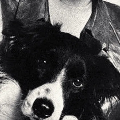 Seamus (Dog)