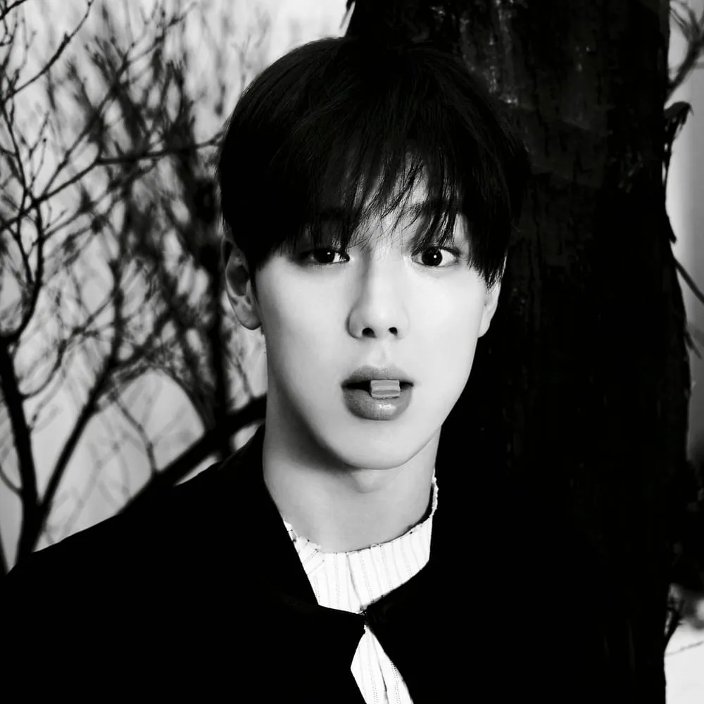 SHOWNU (셔누)