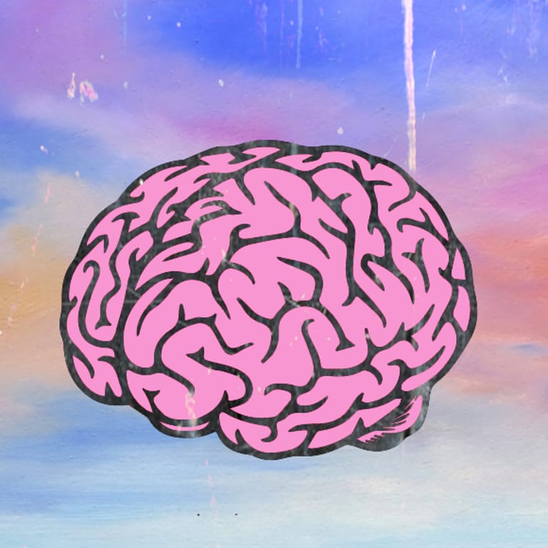 The Brain