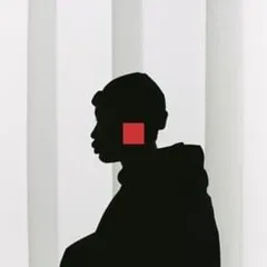 THE REST (Video Directors)